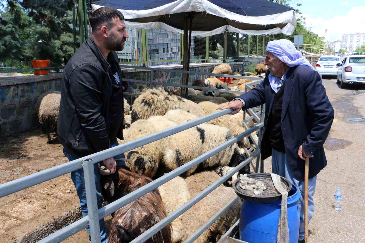 Kurban pazarında sessizlik: Satıcılar son günleri bekliyor